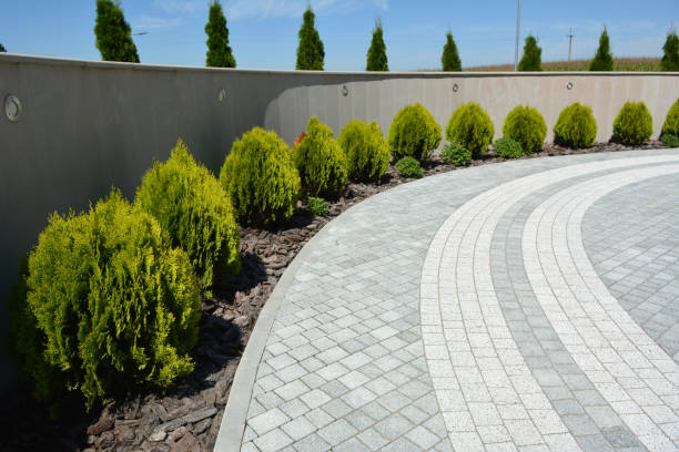 Best Professional Driveway Pavers  in Dalton, GA